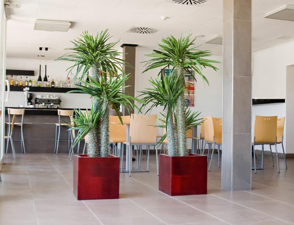 Grupoandria Hotel Platja Gran Ciutadella  Esterno foto
